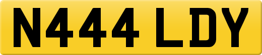 N444LDY